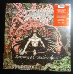 SINISTER 4CD BOX デスメタル スラッシュメタル - メルカリ