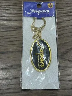 1996年JFAサッカー日本代表 키체인