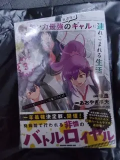 放課後はケンカ最強のギャルに連れこまれる生活