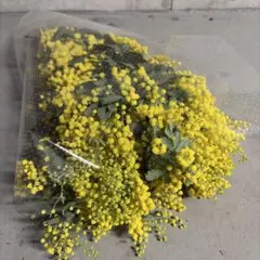 チョコ様 リクエスト 2点 まとめ商品