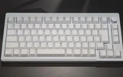 wooting60he（tohu 60x真鍮ウェイトx万磁王軸xキーキャップ） - メルカリ
