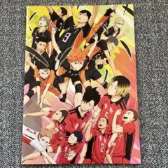 ハイキュー!! 終わりと始まり パンフレット