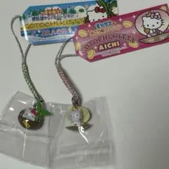 ハローキティ ご当地キティ　サンリオ　愛知　あさり姫　伊良湖ヤシノミ　2個セット