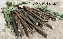 Item thumbnail for item 460c5ec2-ef8e-44a7-a3e0-2df2c8c9006d