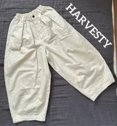 Item thumbnail for item c311d942-3c01-4a69-8b03-e105876186b4