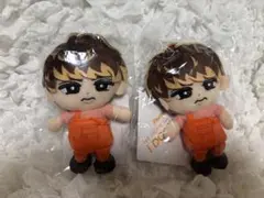 向井康二のぬいぐるみ すのチル