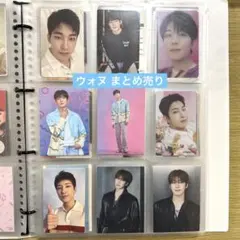 SEVENTEEN セブチ トレカ ウォヌ まとめ売り 11枚