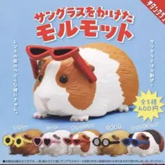 ♡全5種コンプセット♡サングラスをかけたモルモット　ガチャガチャ