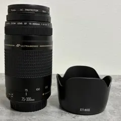 CANON EOS Kiss X8i望遠レンズセット/EF75-300mm 2026年最新】canon kiss x8i 望遠レンズの人気アイテム - メルカリ