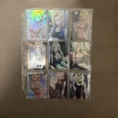 Item thumbnail for item af5bb908-f297-4843-a99a-cc0b67f6b1cc