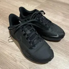 NIKE ウィメンズ エアズーム ペガサス 39 シールド DO7626 001