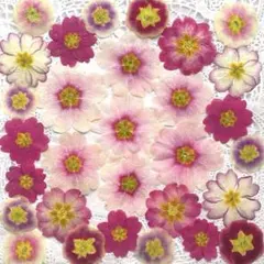 Item thumbnail for item 24de9f0d-3ede-4b9f-8c19-50a4d649036e