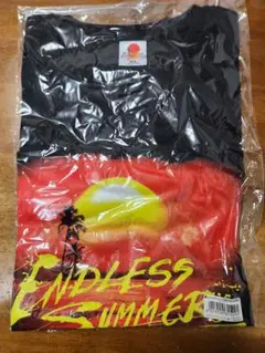 Item thumbnail for item dca323ee-e1ac-47af-a7e4-194359649bd5