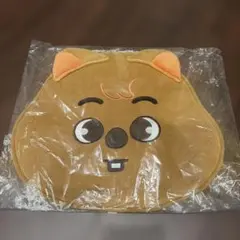 straykids スキズ うちわケース ハン ハンクオッカ