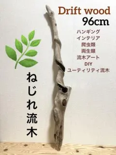 Item thumbnail for item 11115b38-b10a-4f80-b874-db526c653761