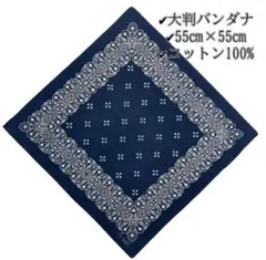 Item thumbnail for item 67d0a800-db6c-4f33-8a66-ac06cc3be850