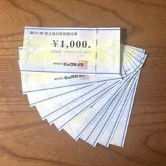 ビックカメラ　優待券11枚