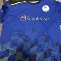Mizuno 東亜大学 バレーボールユニフォーム L 16 Mizuno バレーボールシャツ Lサイズ 16番 東亜大学 - メルカリ