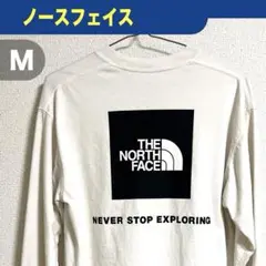 THE NORTH FACE ザ ノースフェイス ロングTシャツ スクエアロゴM