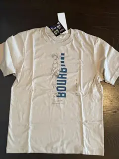 Item thumbnail for item 70b481ee-17b1-4273-8414-88fe06de1196