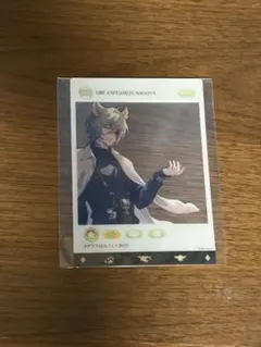 グラブル グラブルフェス 入場特典 ネハン クリアカード