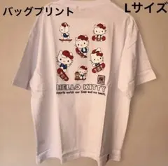 VISION STREET WEAR キティちゃんTシャツ　 L