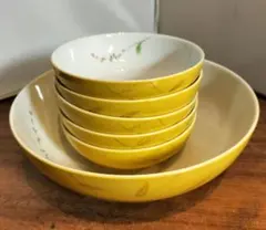 【未使用】たち吉 黄地草花 絵変り 取り鉢揃 ６客セット 大鉢１取り鉢５