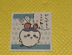 ハチワレ ステッカー シール