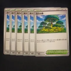 ポケモンカード　活力の森　スタジアム