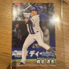 2026年最新】ベイスターズ蝦名達夫の人気アイテム - メルカリ