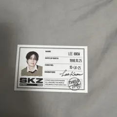Stray Kids Lee Know THIS&THAT