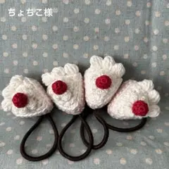 ちょちこ様ご確認用のページです
