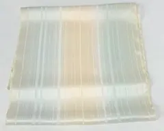 Item thumbnail for item aa4e27e5-1e39-4ef1-8196-ed74970f75a2