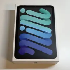 Apple iPad mini 第6世代 64GB 本体 スペースグレイ