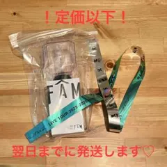 【銀テ&電池付き】翌日までに発送★timelesz★FAM ペンライト