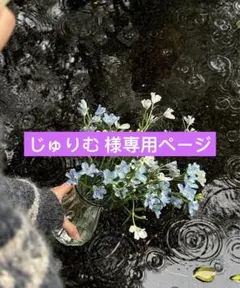 2025年最新】スカーラヨガマットの人気アイテム - メルカリ