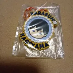 ハイキュー　クッキーモチーフラバー　影山飛雄