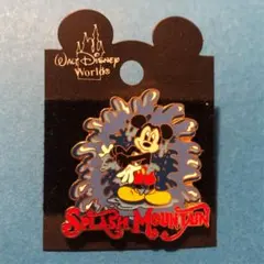 スプラッシュマウンテン ピンバッジ disney