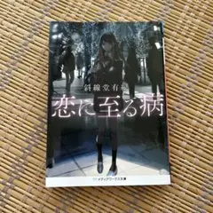 恋に至る病