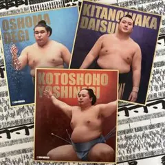 Item thumbnail for item 32e818b3-2b8a-4dff-a6cb-b498c38e9bfd