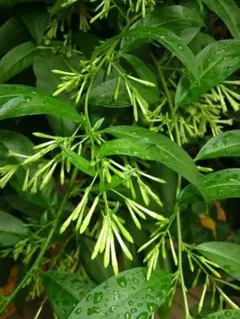 nanoka様 リクエスト 2点 まとめ商品