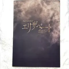 音樂劇 麗人 2025 手冊 普通版