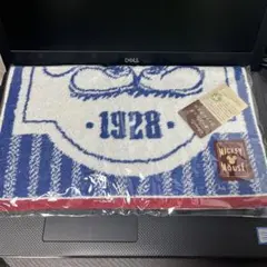 ディズニー　コットンタオル