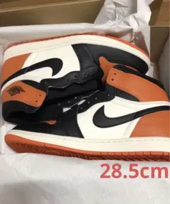 Nike Air Jordan 1 Retro High OG シャタバ28.5