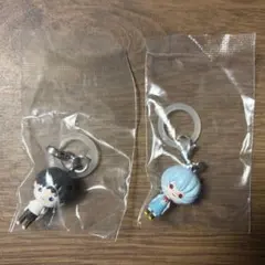 エヴァンゲリヲン　めじるしアクセサリー　綾波レイ 碇シンジ