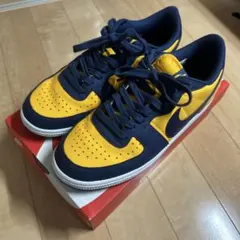 ナイキ ターミネーター ロー 27.5cm ミシガンカラー