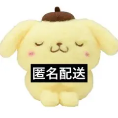 ゆるかわ サンリオ Sheep Dreamy マスコット ポムポムプリン