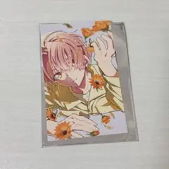 アニナナ総集編　特典