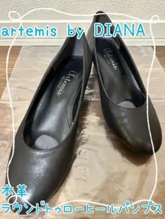 artemis by DIANA 本革　ラウンドトゥローヒールパンプス　24.5