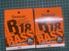シーガー　R18 バス　20lb 160mのサムネイル